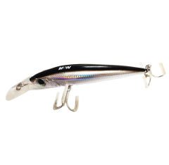 Trolling Minnow(101) 4