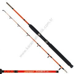Remixon Pagrus 180Cm 60-120Gr Bot Kamışı