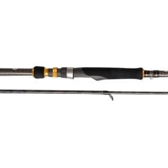 Cinnetic 8568 Raycast XBR Seabass Light Game Spin Kamışları