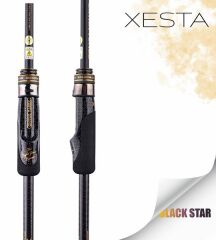 XESTA BLACKSTAR EXTRA TUNED S84MH-T KAMIŞ 2.55M 1.5-18G 2P