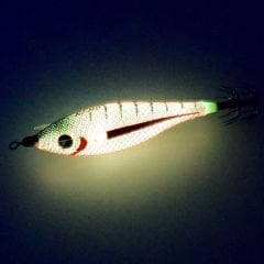 DTD NANO 2.5 KALAMAR ZOKASI