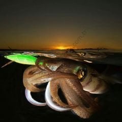 DTD Retro Oita 3.0  Kalamar Zokası