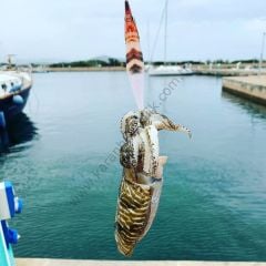 DTD Weak Fish Bukva 1.5 Kalamar Zokası