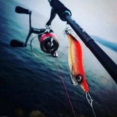 DTD Premium Oita 3.5 Kalamar Zokaları